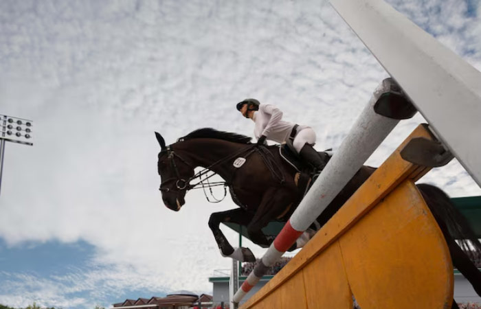 Deportes Carreras de caballos